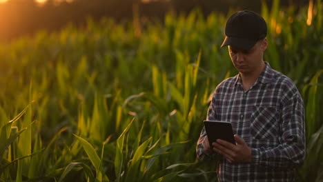 Bauer-Mit-Tablet-Im-Feld.-Hübsche-Junge-Frau-Hält-Bei-Sonnenuntergang-Ein-Tablet-Im-Feld