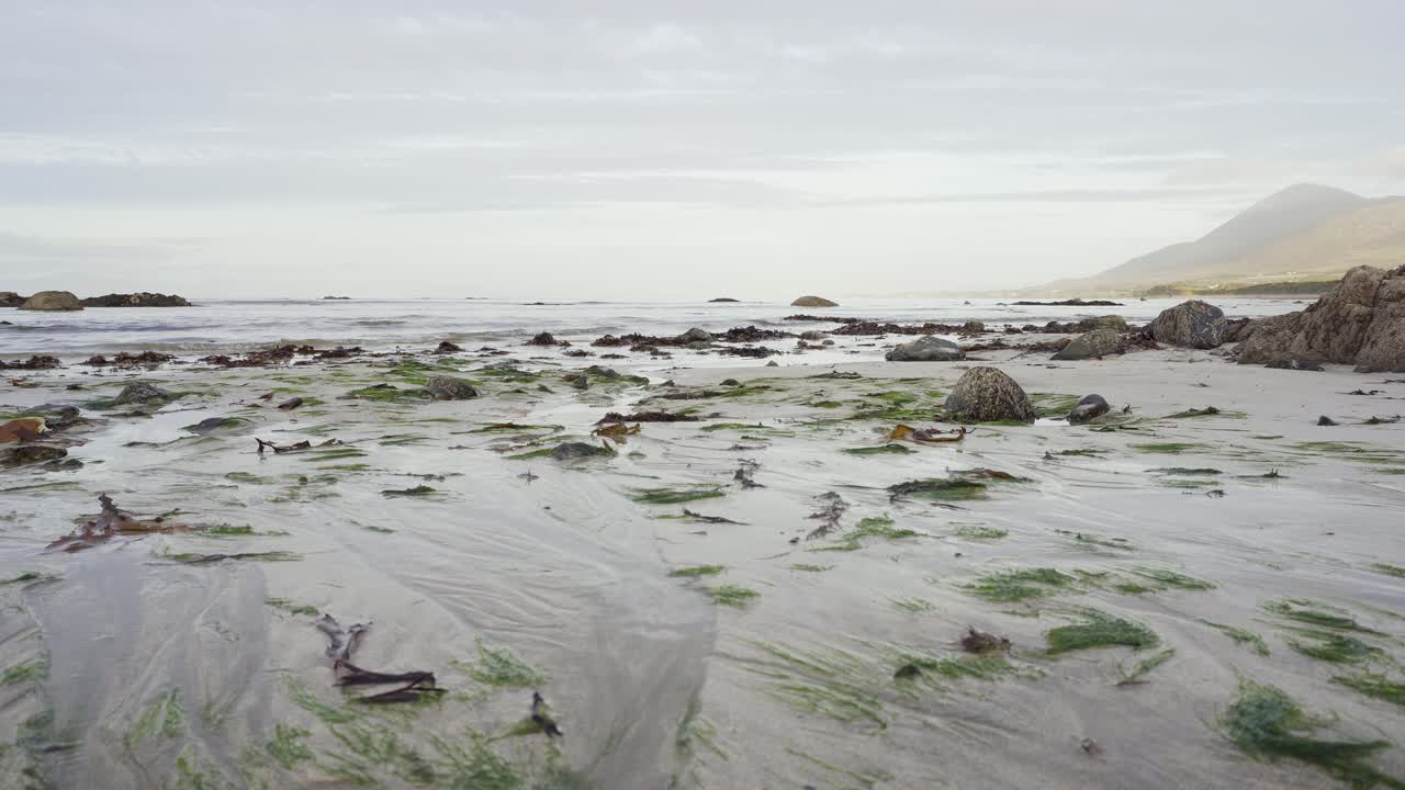 Overcast Beach with Seaweed and Rocks