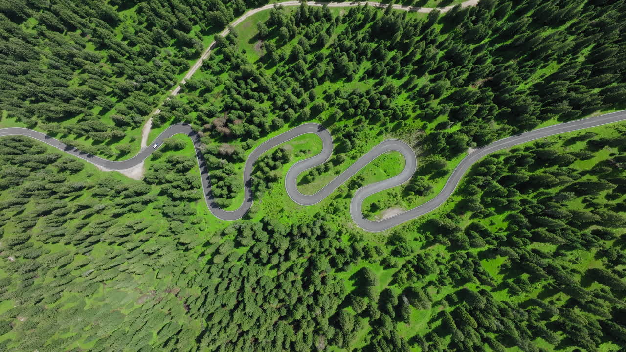 Curving road snakes through dense trees near Giau Pass in Dolomites, high aerial panoramic static