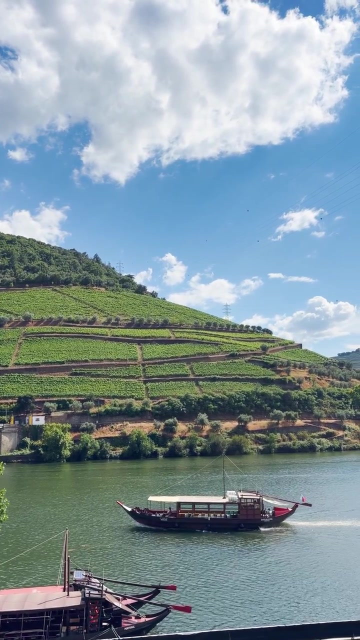 Perspektywa vlogera z miasta Pinaho w Portugalii, z widokiem na rzekę Douro, podczas letniej podróży wakacyjnej do Europy. Piękne winnice i gaje oliwne w Dolinie Douro. Rolka społecznościowa w stylu pionowego wideo UGC.