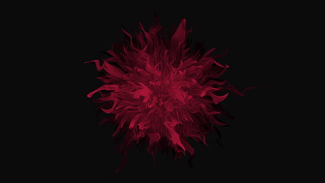 A-Red-Abstract-Flower-With-Black-Background