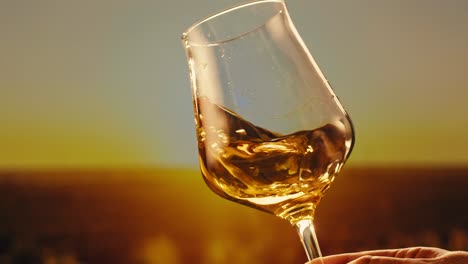 orange or white wine bottle and glass against a sunset in a peaceful vineyard, pouring of ecological natural wine.