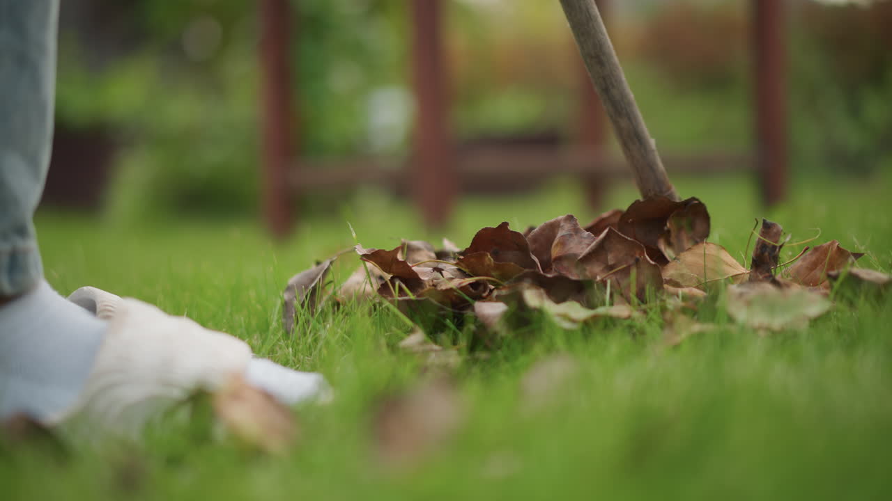 Closeup socked feet raking leaves, late autumn backyard scene with denim jeans, soft green grass, small leaf pile near wooden fence, gentle slow motion, domestic chore vibe, calm reflective