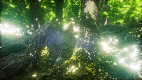 scenic forest of fresh green deciduous trees framed by leaves