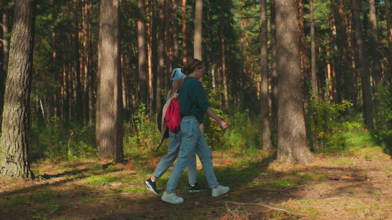 vista lateral de dos mujeres caminando a través de un denso bosque iluminado por el sol, una con corbata de cabello azul y mochila, otra con tela drapeada sobre la bolsa, el cabello atado hacia atrás, la luz del sol se filtra a través de los árboles