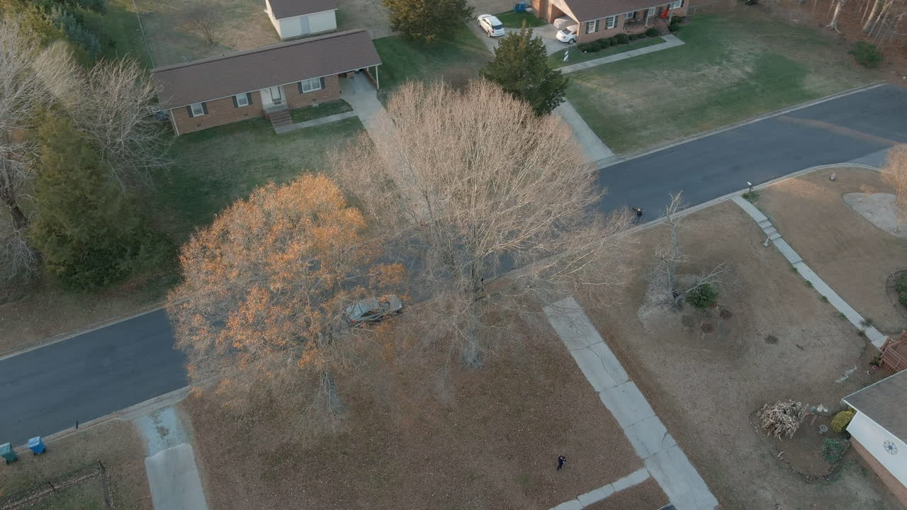 더럼 교외에 있는 불태운 집 뒤뜰에 있는 잎이 없는 나무, 공중