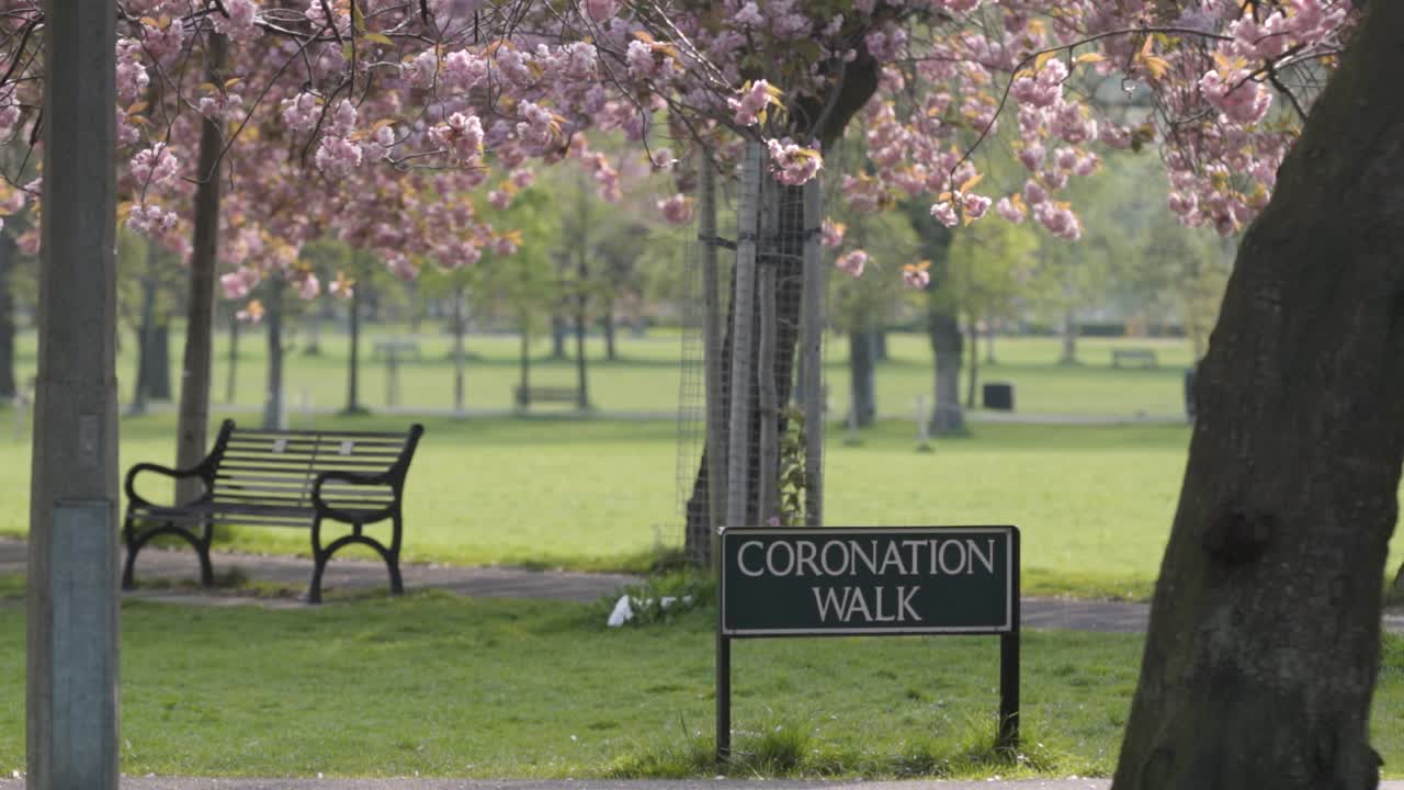 Cherry blossoms season deserted in Edinburgh during coronavirus pandemic