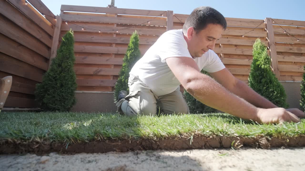 rollo de nuevo césped natural instalado por jardinero profesional. industria de jardinería.