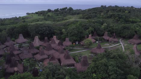 small local village with traditional roofs surround by green vegetation at sumba, aerial