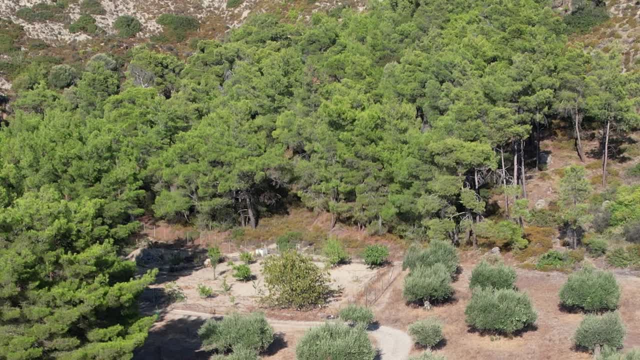 Stunning aerial view of lush greenery in rural Greece