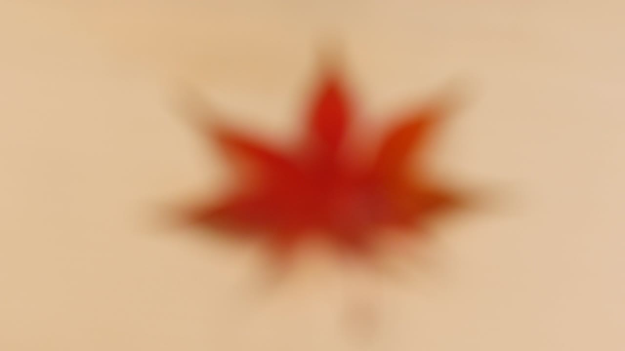 나무 테이블에 은 가을 잎에 초점을 맞추십시오.