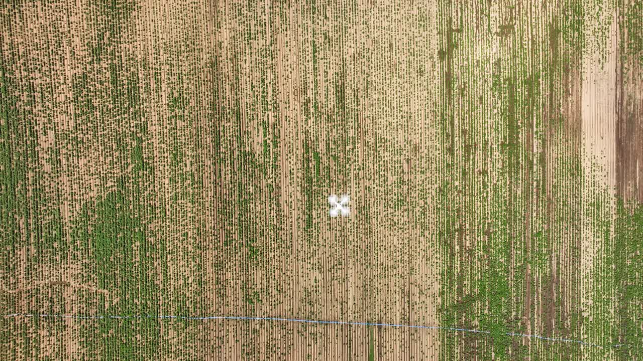 A top down overview of multispectral drone surveying and mapping a cultivated field with clear divisions, patterns in agriculture and farming