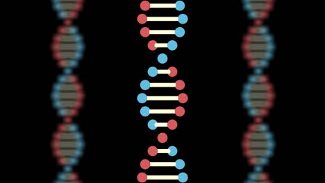 2d animation of three dna on a black background. the background is blurred. the focus is on the front. 60fps