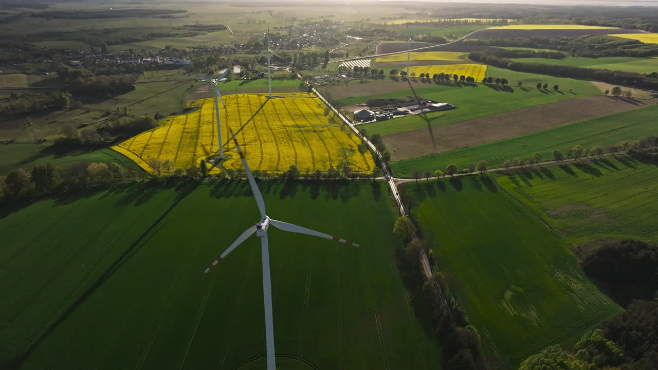 Wind Turbines For Wind Energy Over Canola Oil Fields At Sunrise. Aerial Drone Shot