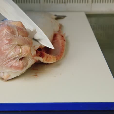 un trabajador corta trozos de salmón en una fábrica de conservas