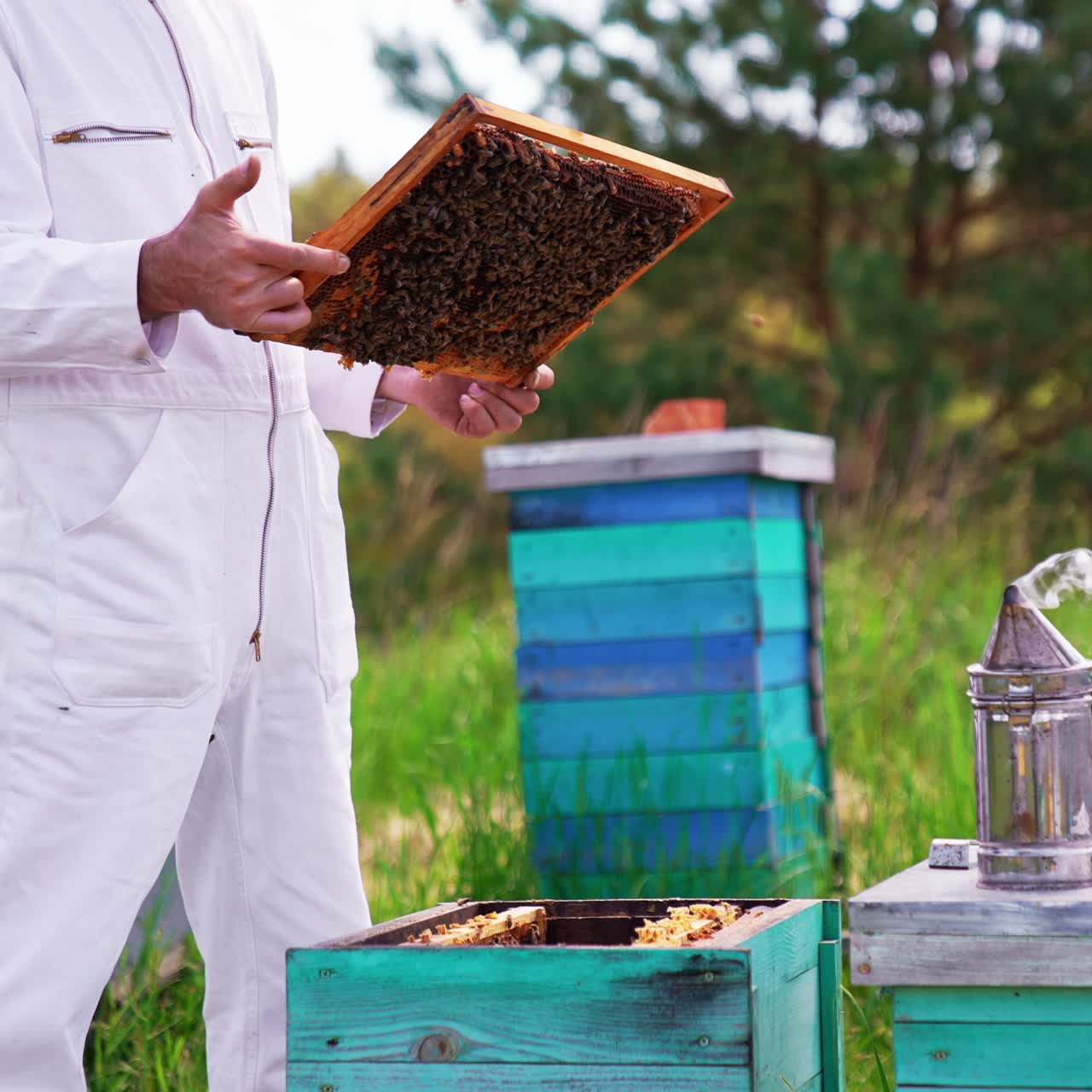 Professional beekeeper working with wooden frames. Natural honey harvesting apiarist