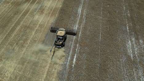 Un-Tractor-Cosechando-Trigo-En-Australia-Occidental.