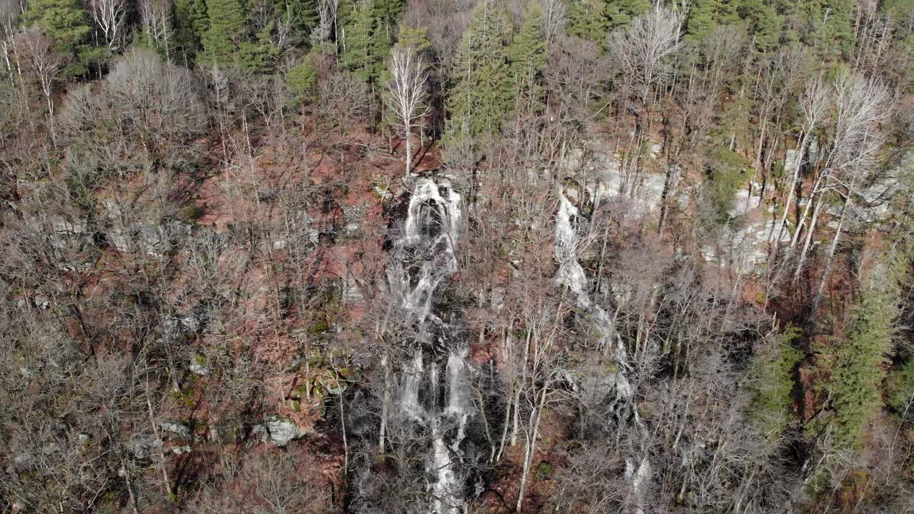pintoresco paisaje de cascada que fluye a través de los árboles del bosque hacia el lago