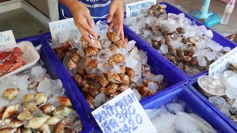 hands sorting various shellfish on ice