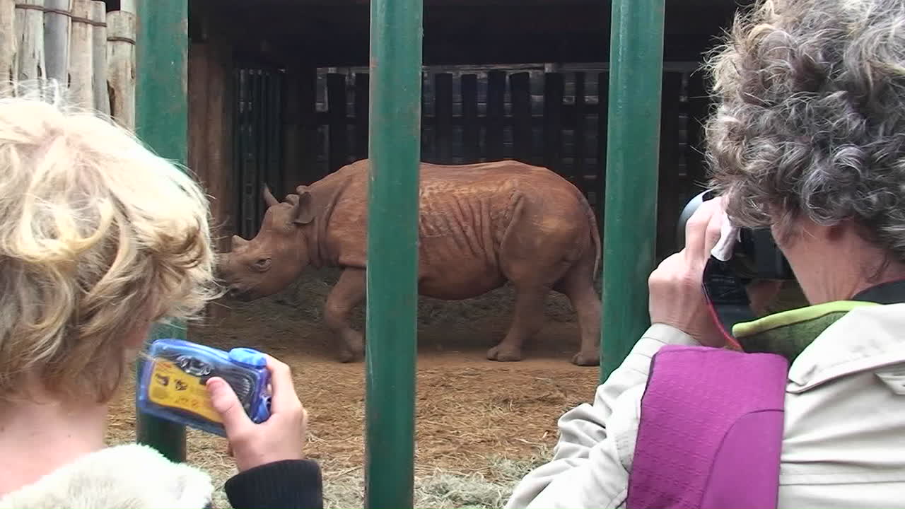 두 여자가 우리 안에서 돌아다니는 코뿔소의 사진을 찍는다