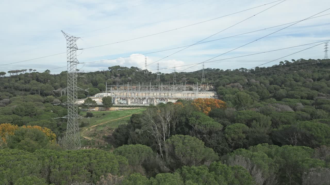 Green, dense vegetation surrounds an electrical substation, which stands out against the backdrop of a clear sky, emphasizing the intersection of nature and industrial infrastructure