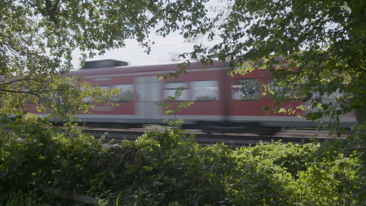 tren de pasajeros rojo acelerando por las vías rodeadas de exuberante vegetación, luz del día