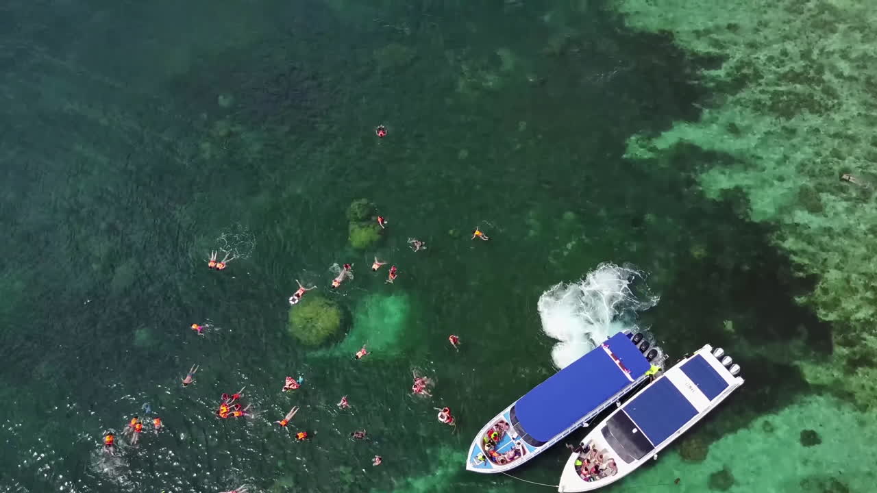 맑은 물에서 수영과 스노클링을 즐기는 관광객들