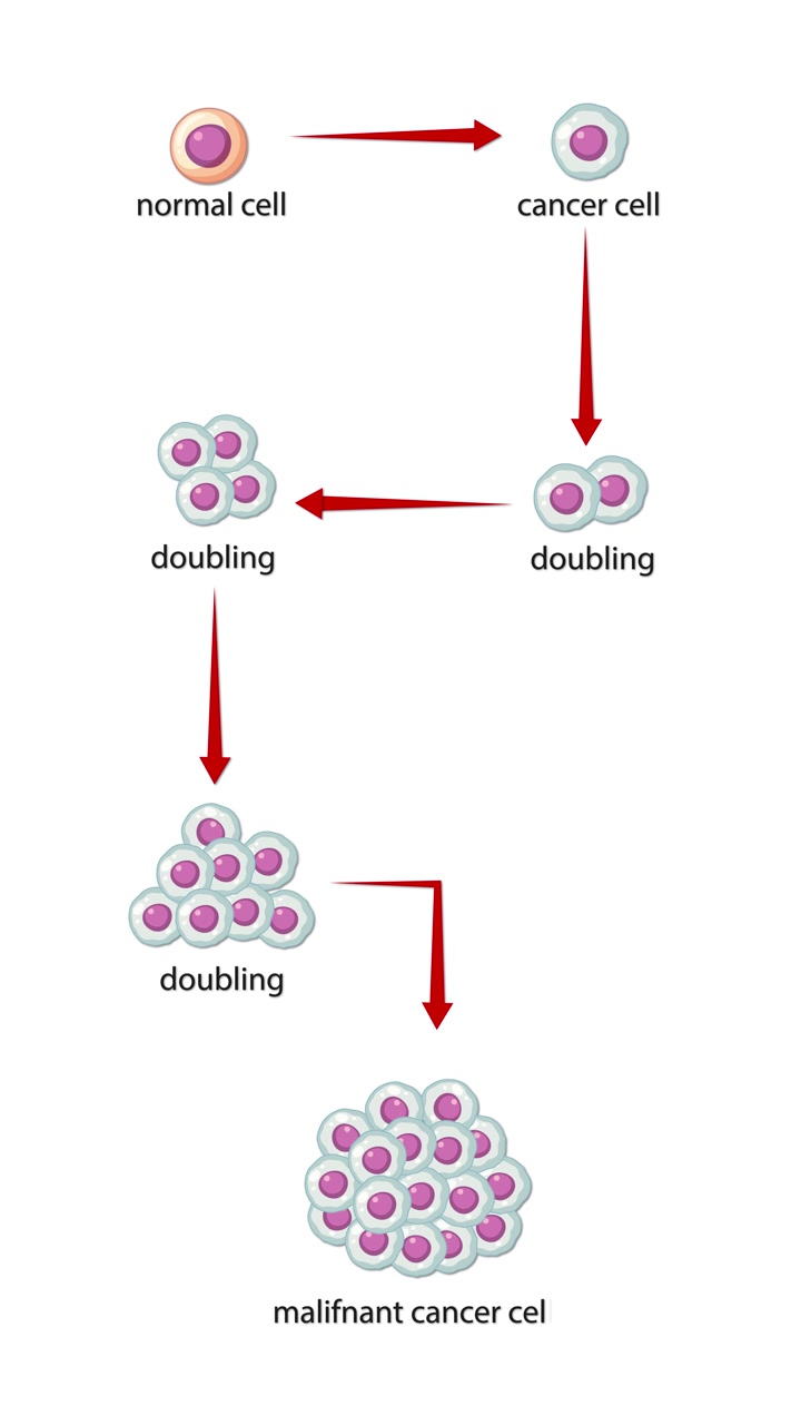 Animazione diagrammatica che illustra la trasformazione di una cellula normale in una cellula tumorale, seguita dalla divisione esponenziale delle cellule tumorali, che forma una massa tumorale maligna. Stile vettoriale pulito e clinico con chiare frecce direzionali