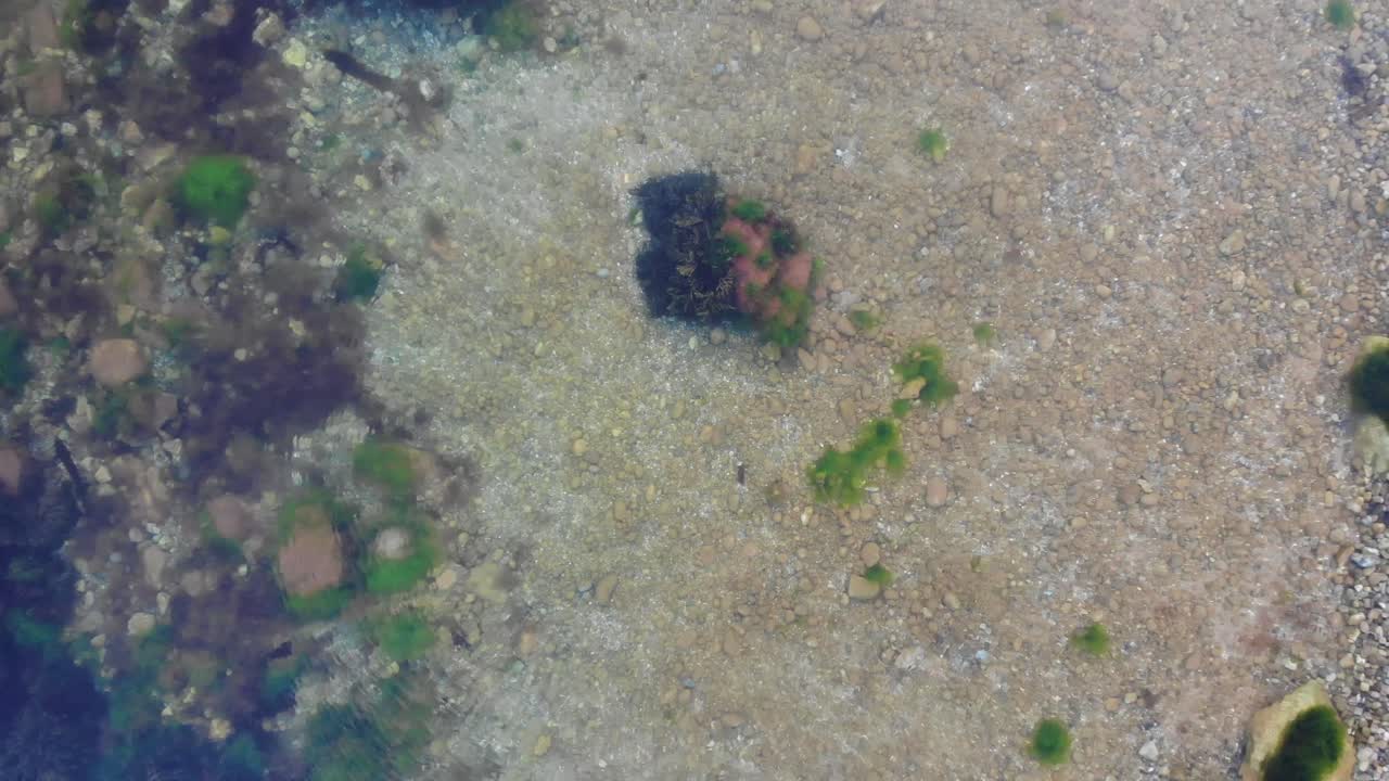 toma artística ascendente aérea que muestra la vista de la piscina de rocas y el lecho marino