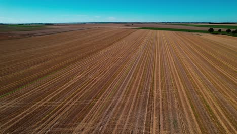 Material-De-Archivo-Areal-De-Inmensos-Campos-Cultivados-En-Un-Día-Soleado