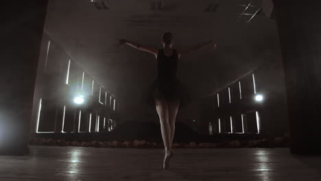 a ballerina dances in a hall with empty seats. a female dancer enjoys the quiet of an empty scene and no audience