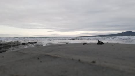 ground level view of small waves approaching a beach with dark sand on new zealand's north island