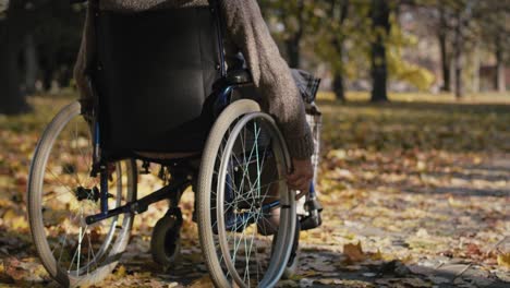 hombre mayor en una silla de ruedas en movimiento en el parque durante el otoño