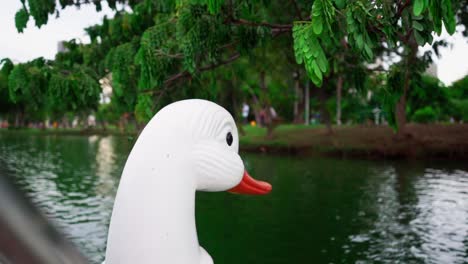 head of the swan-boat