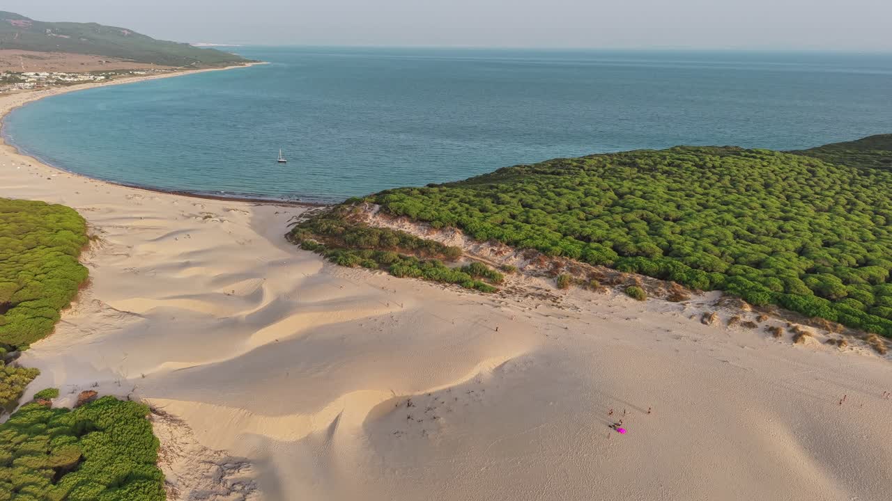 Aerial view of the Bolonia dunes in Cádiz, Spain. Stunning contrast of golden sand, lush pine forest, and the blue Atlantic Ocean. A breathtaking coastal landscape and natural wonder