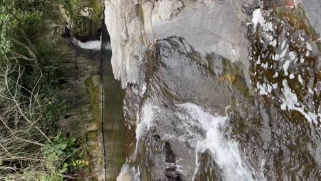 small waterfall in the middle of the forest