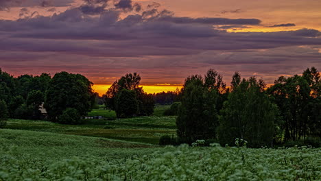 static shot of dark clouds passing by over wild white flowers along the grasslands in timelapse during evening time