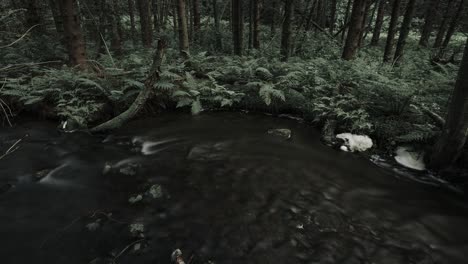 Video-De-Lapso-De-Tiempo-De-Moodie-De-Un-Pequeño-Río-Que-Fluye-A-Través-Del-Bosque