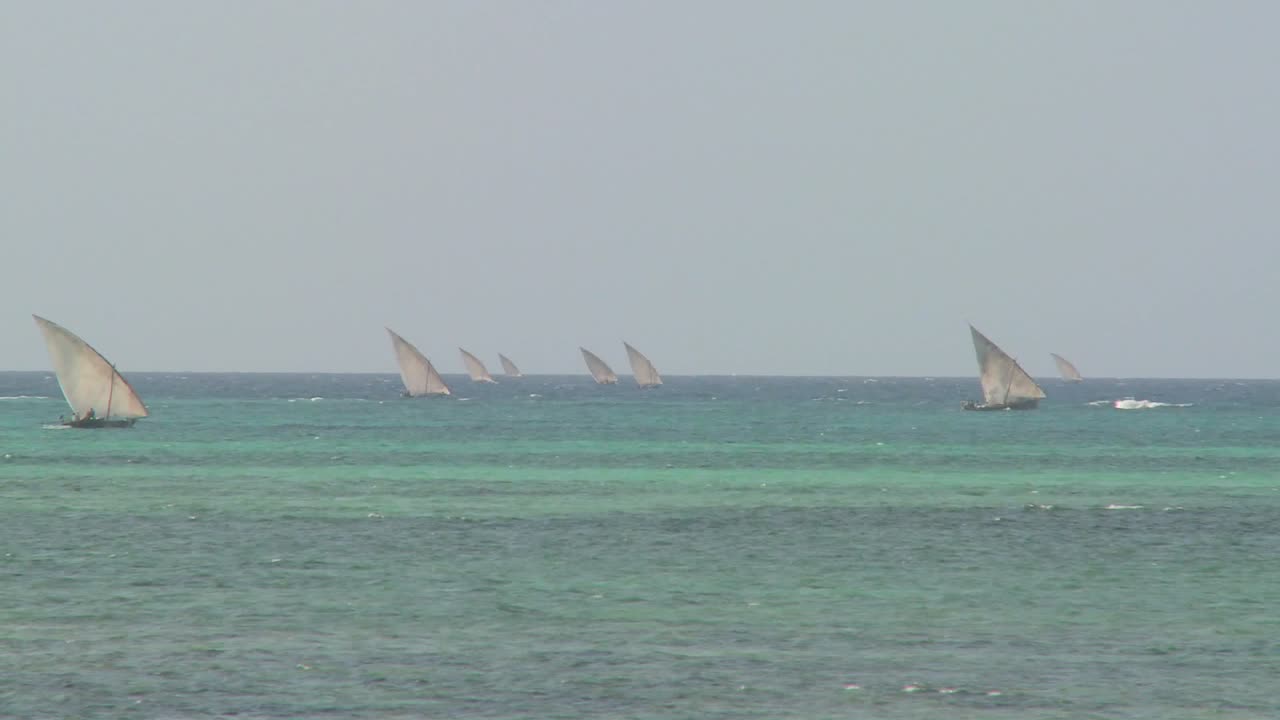 парусные лодки доу выходят в море у побережья занзибара