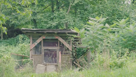 荒野中草,<unk>和树木生长在森林中的木制自制避难所小屋的风景照片