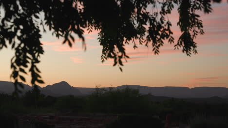 Desert-landscape-at-dawn-with-tree-branches-in-the-foreground