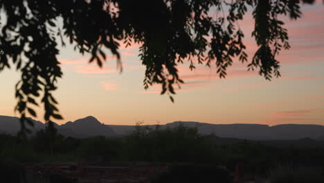 paisaje desértico al amanecer con ramas de árboles en primer plano