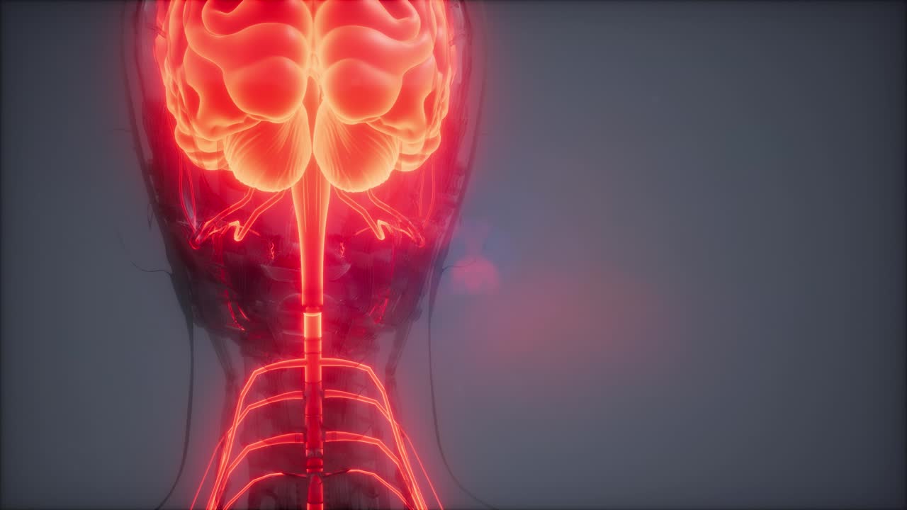 examen de radiología del cerebro humano