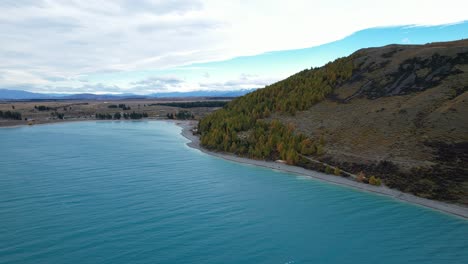 lake tekapo and trees in autumn colors on the mountain hill in south island, new zealand. - aerial shot