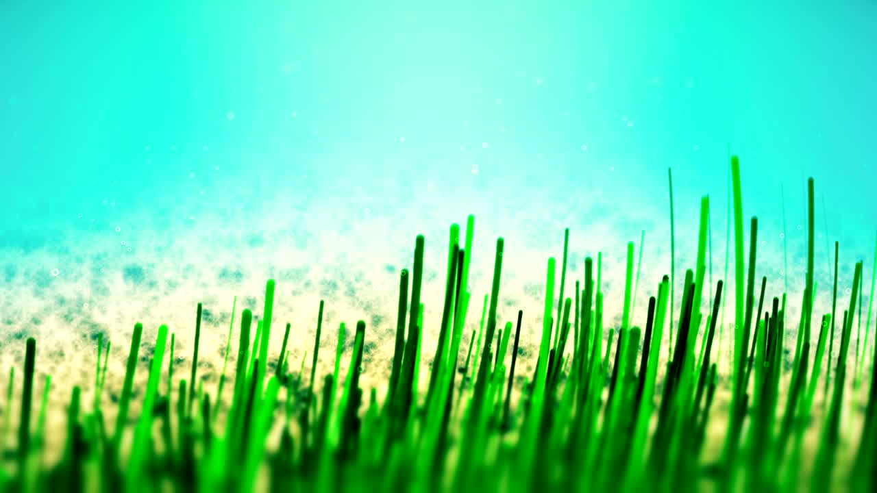 바다 바닥과 바다 풀 비디오