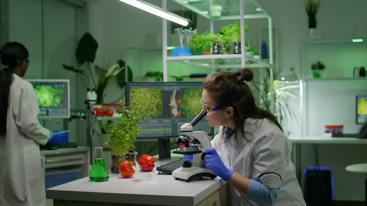 Biologist researcher analyzing biological slide for agriculture expertise