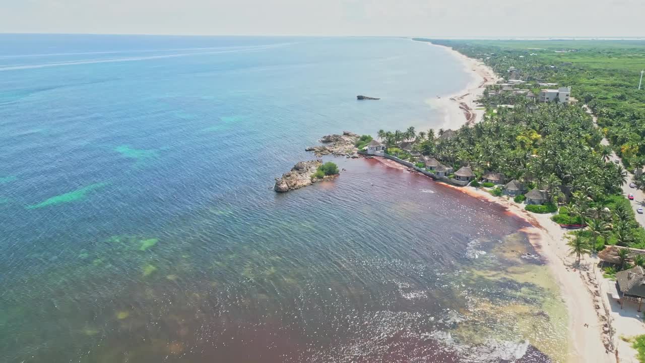 Aerea, Resort costiero caraibico Tulum, alghe invasive, clima umido