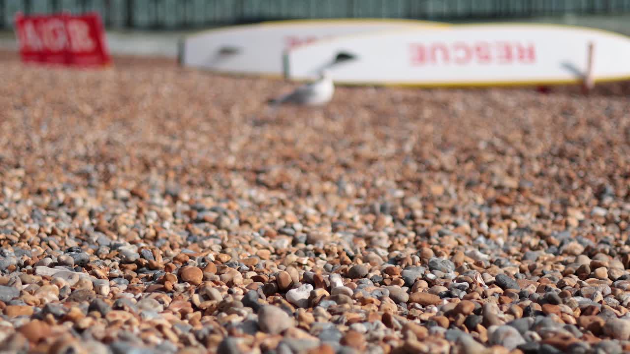 구조 장비 를 탑재 한 자갈 해변