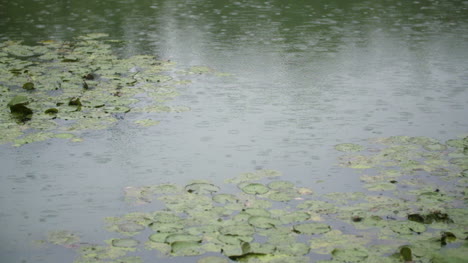 Lloviendo-Lluvia-Sobre-La-Superficie-Del-Agua-3