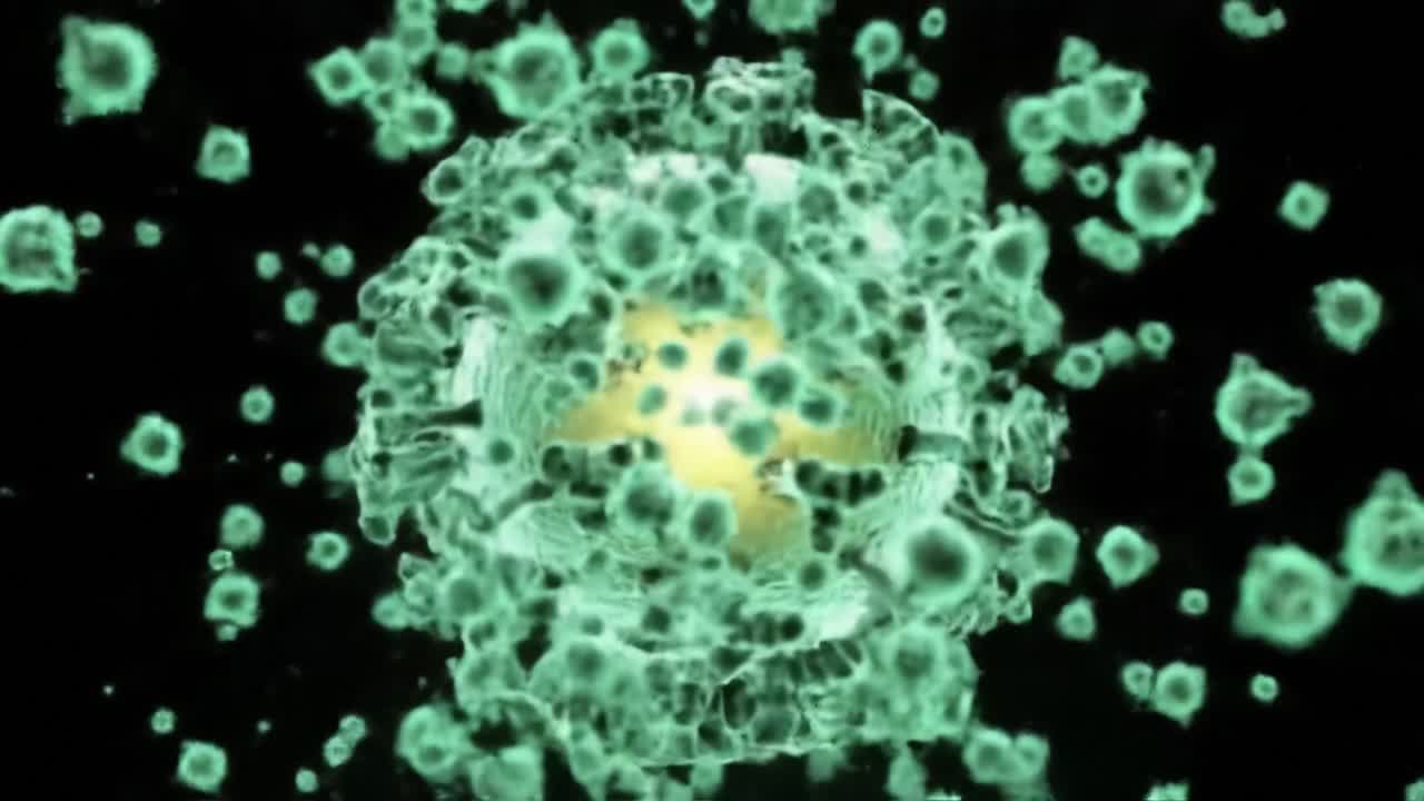 Dynamic Visualization of a Virus: Detailed Examination of Cellular Structures in Two Distinct Frames Demonstrating Biological Activity and Environmental Interaction